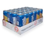 ORANGINA canette 33 cl  (carton de 24)