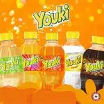 YOUKI PET 30 cl (pack de 12 bouteilles)